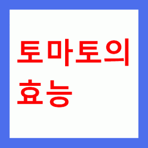 토마토의 효능